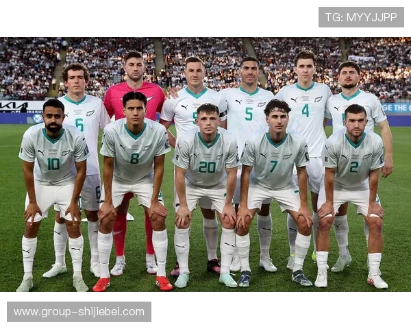 美加墨世界杯48支球队球服的价格比较与购买攻略，帮助球迷合理规划预算享受足球盛宴